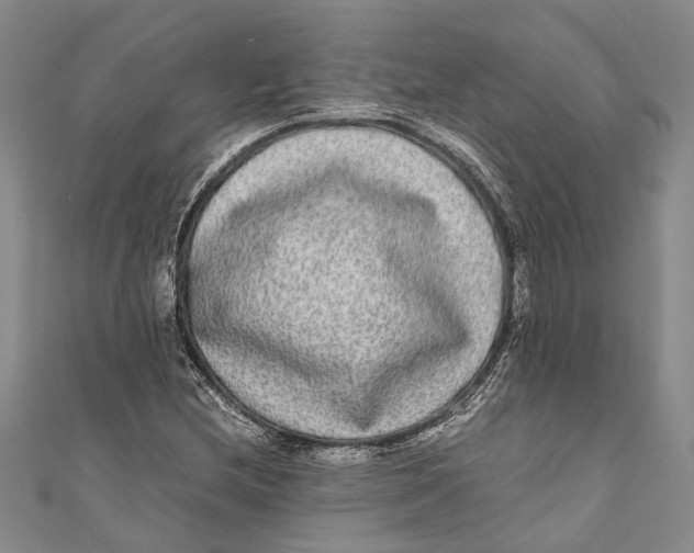 X0000110951212200907101300