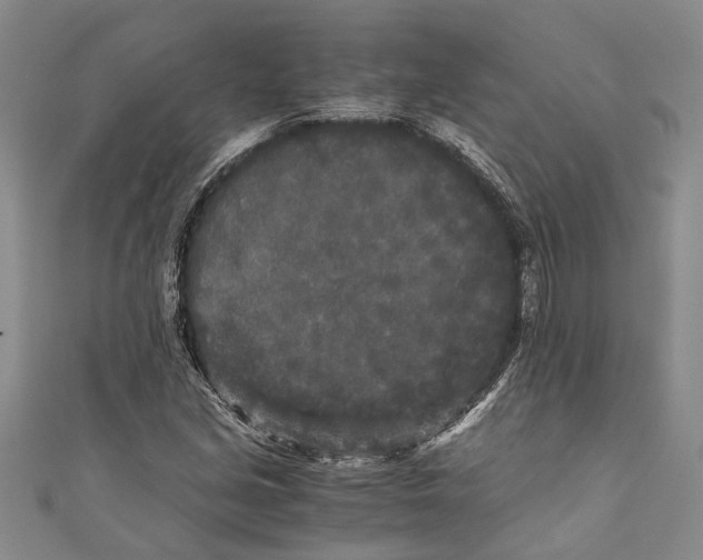 X0000110951213200907101300