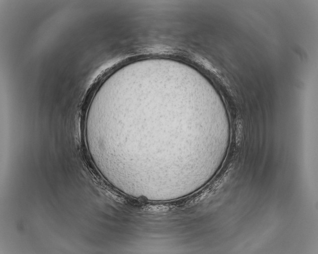 X0000110951214200907101300