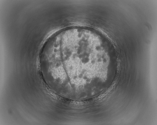 X0000110951215200907101300