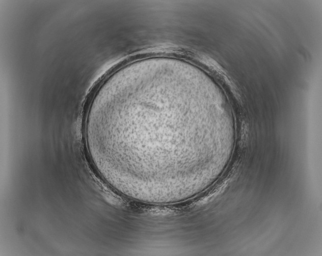 X0000110951216200907101300