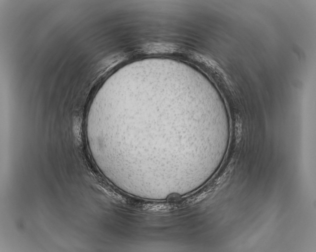 X0000110951217200907101300