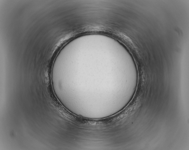 X0000110951218200907101300