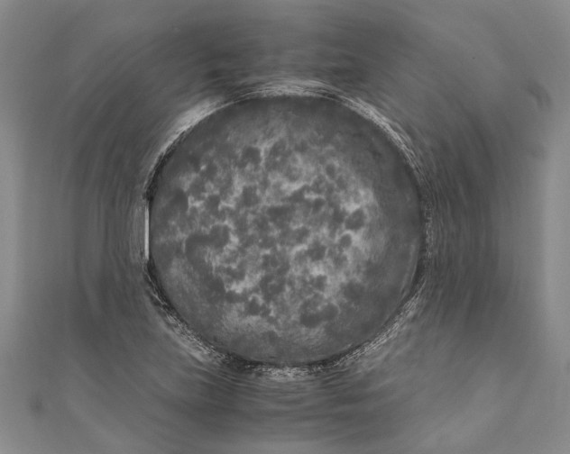 X0000110951219200907101300