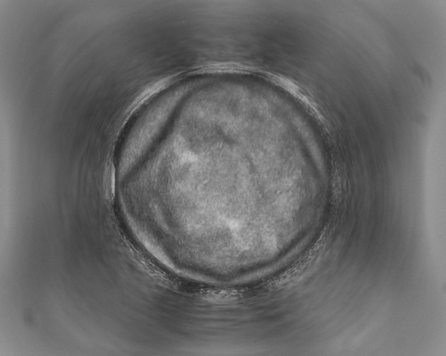 X0000110951221200907101300