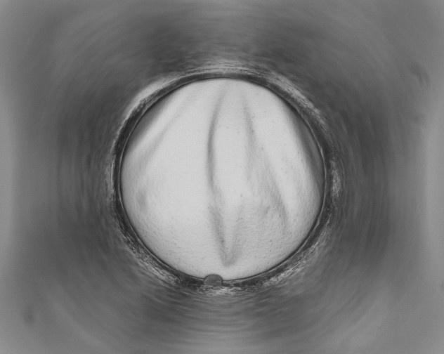 X0000110951222200907101300