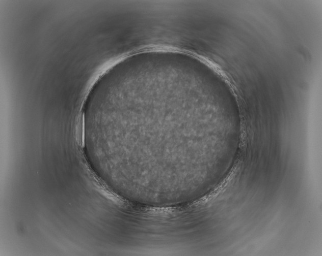 X0000110951223200907101300