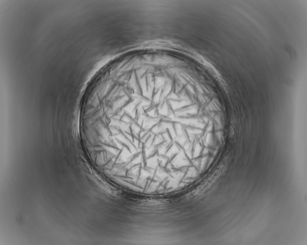 X0000110951224200907101300