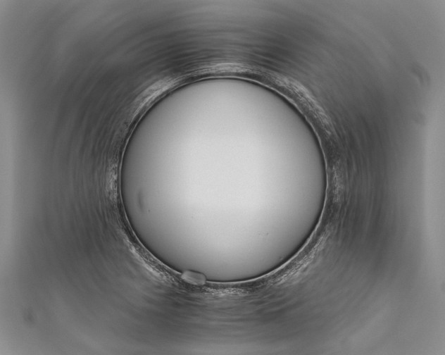 X0000110951225200907101300