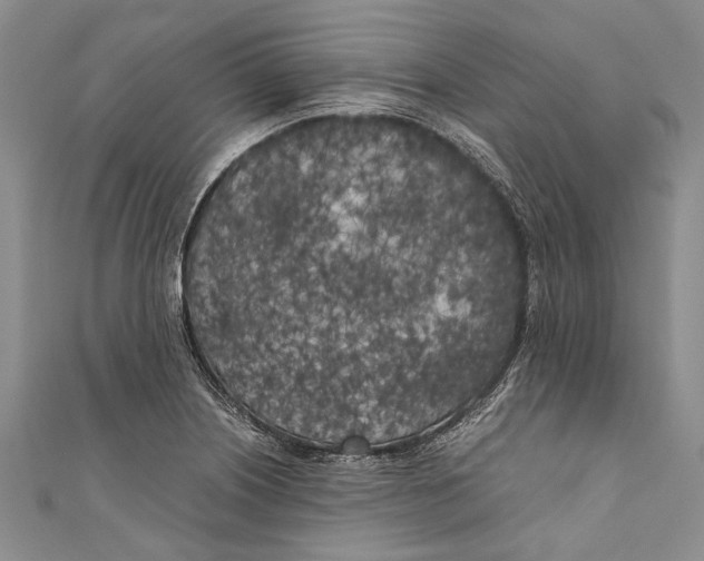 X0000110951226200907101300