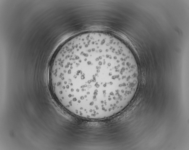 X0000110951227200907101300