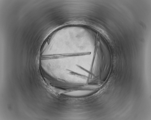 X0000110951228200907101300