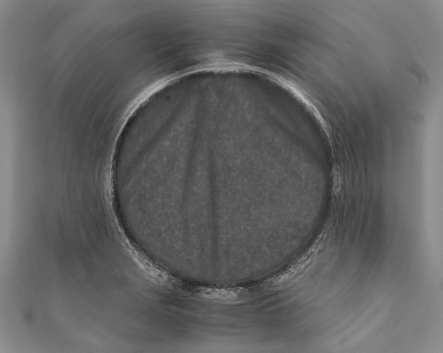 X0000110951229200907101300