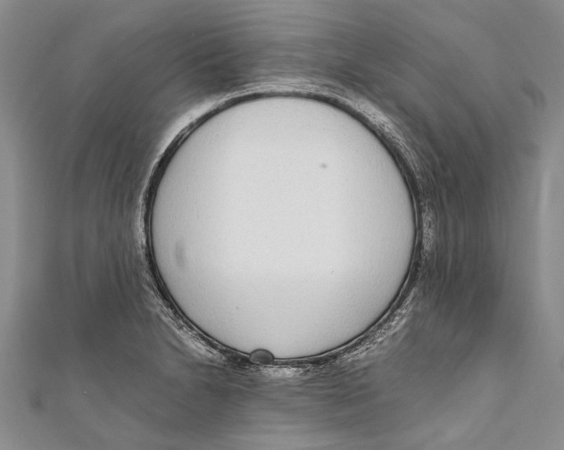 X0000110951230200907101300