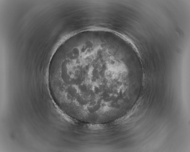 X0000110951231200907101300