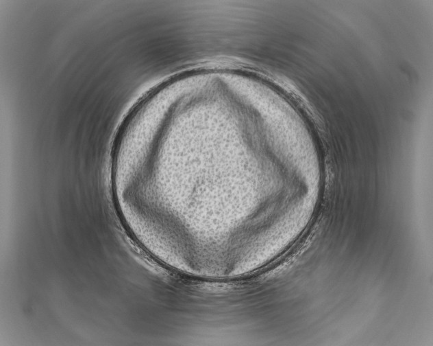 X0000110951232200907101300