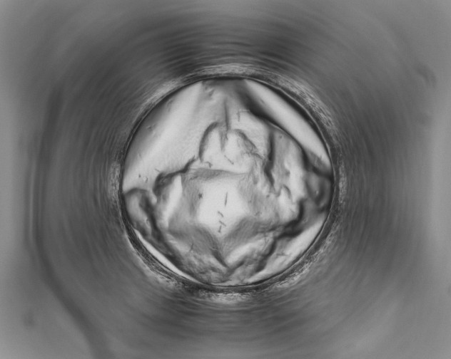 X0000110951233200907101300