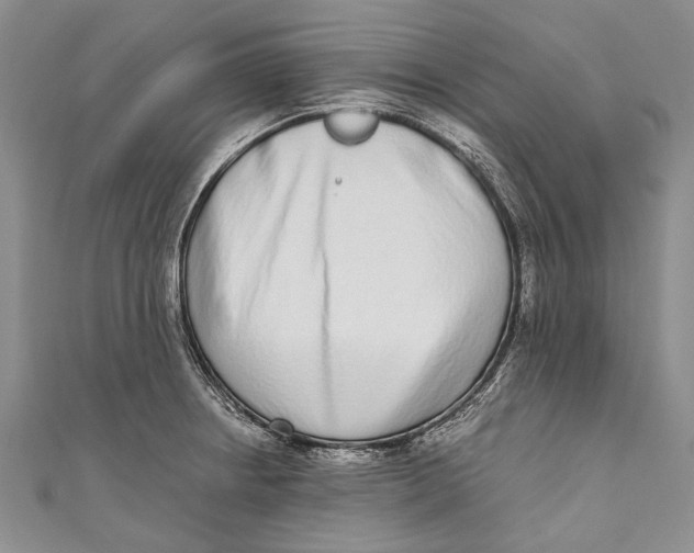 X0000110951234200907101300