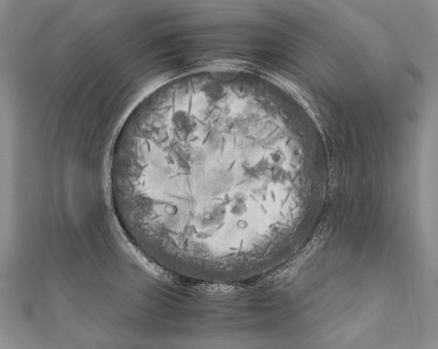 X0000110951235200907101300