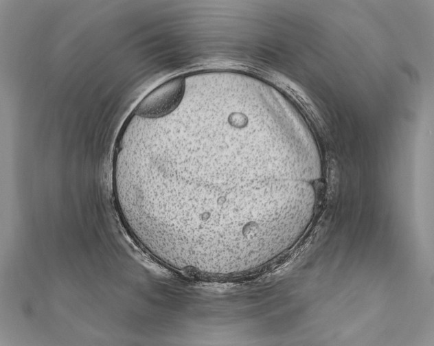 X0000110951236200907101300