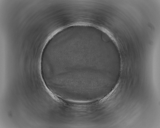 X0000110951237200907101300