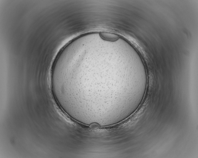 X0000110951238200907101300