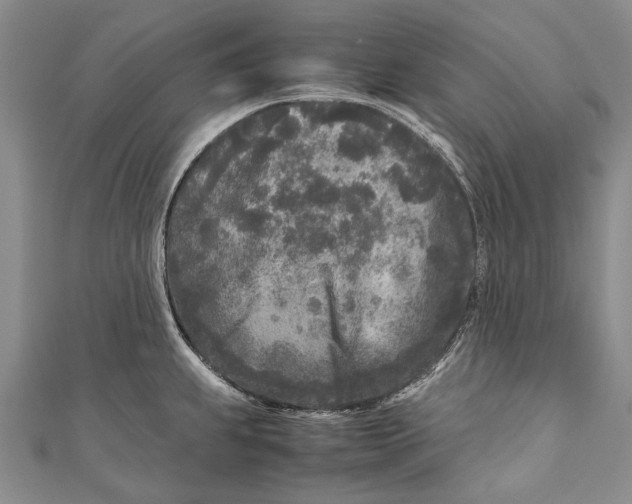 X0000110951239200907101300