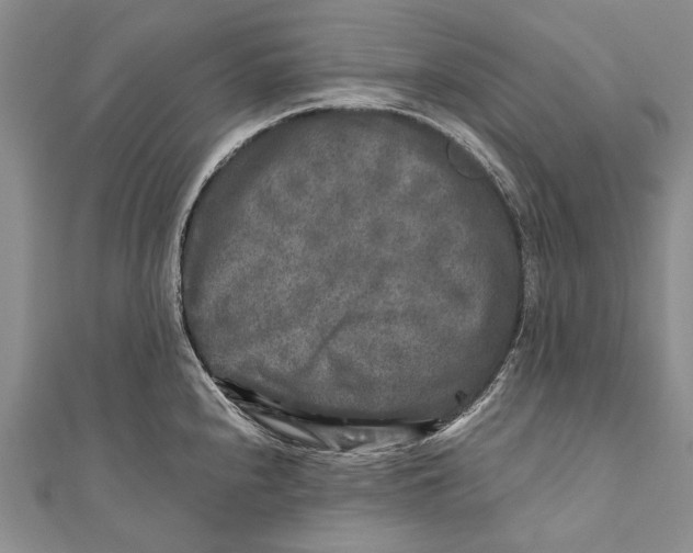 X0000110951240200907101300