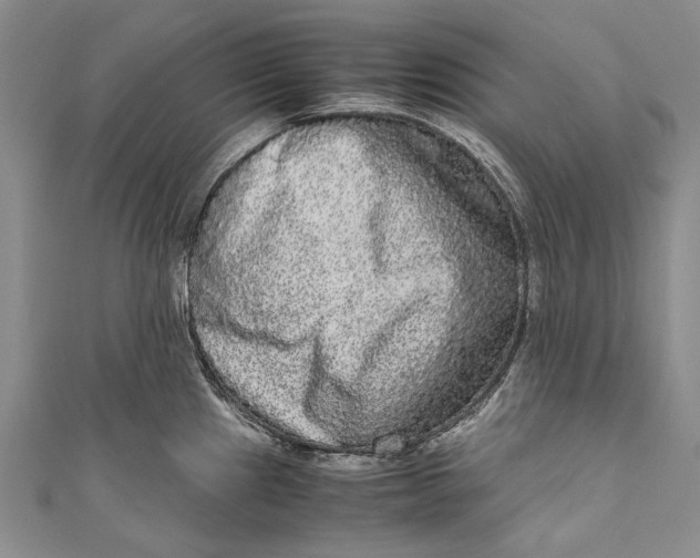 X0000110951241200907101300