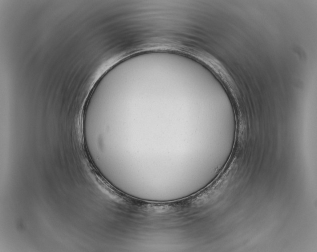 X0000110951242200907101300