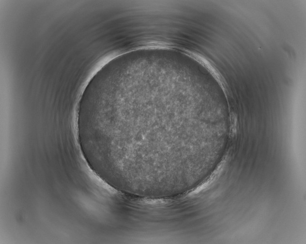 X0000110951243200907101300