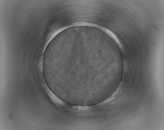 X0000110951244200907101300