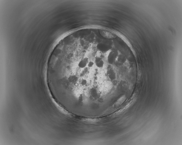 X0000110951245200907101300