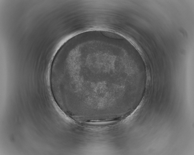 X0000110951246200907101300