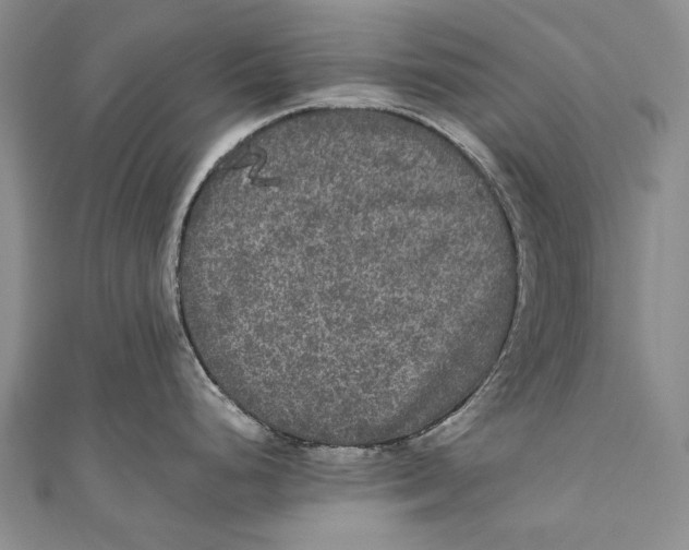 X0000110951248200907101300