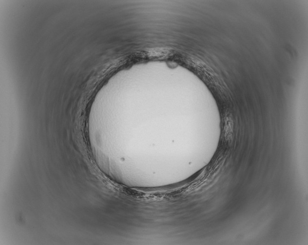 X0000110951249200907101300