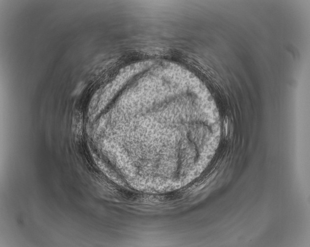 X0000110951251200907101300