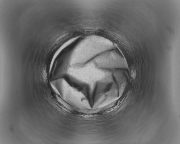 X0000110951252200907101300