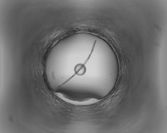 X0000110951253200907101300