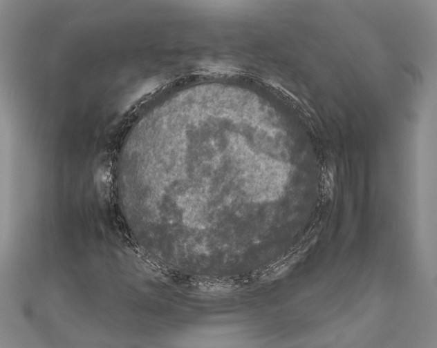 X0000110951254200907101300