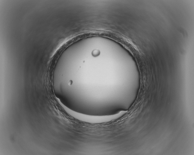 X0000110951256200907101300