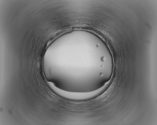 X0000110951257200907101300