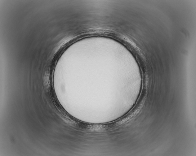 X0000110951259200907101300