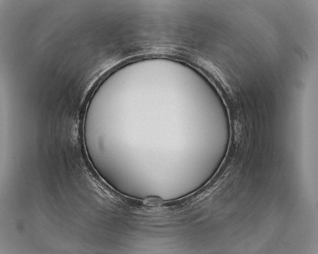 X0000110951260200907101300