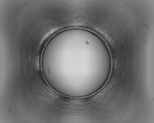 X0000110951262200907101300