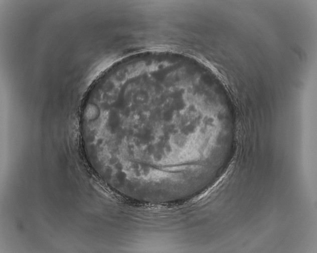 X0000110951263200907101300