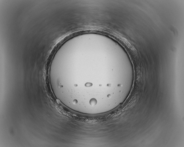 X0000110951264200907101300