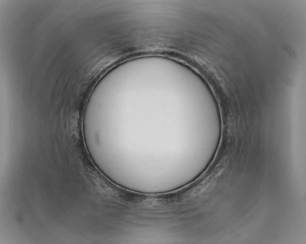 X0000110951265200907101300