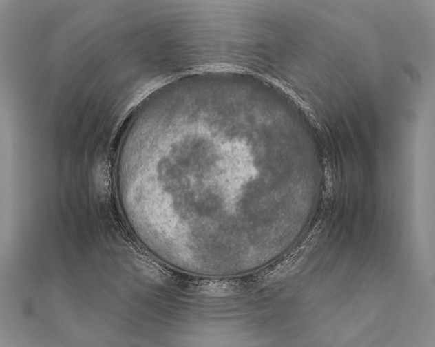 X0000110951266200907101300