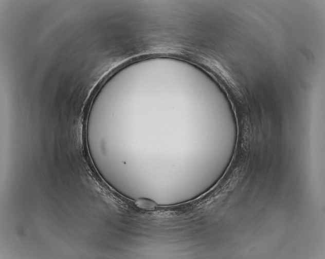 X0000110951268200907101300